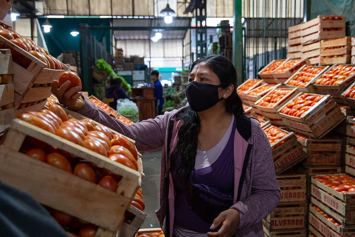 Tierra_Viva_'s tweet photo. El relator sobre Derecho a la Alimentación de la ONU presentó un duro informe sobre la crisis alimentaria, con críticas a la concentración agroindustrial y rol de los gobiernos ¿Qué recomendó? Agroecológica, comercio justo y acceso a la tierra🧑🏽‍🌾👩🏽‍🌾📢
➡️https://t.co/5D0C0vCYKh https://t.co/YgiA0A3S95