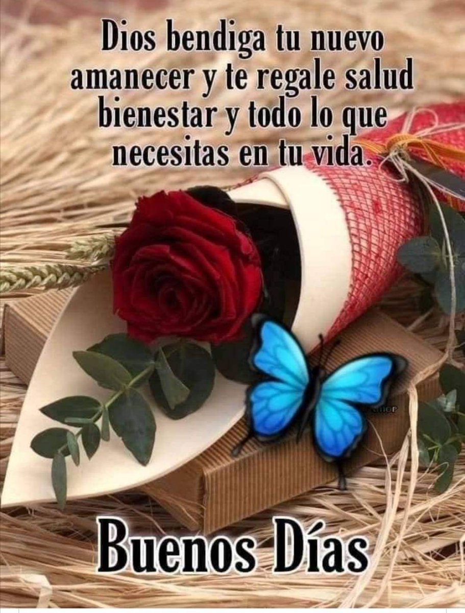 CesarioYolis's tweet photo. https://t.co/PZHrQjpRIC