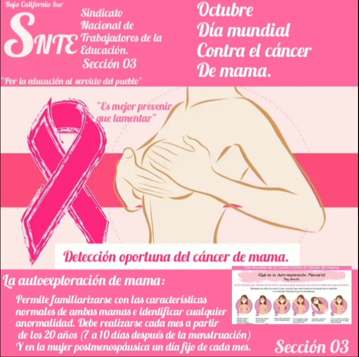 Sria. Equidad de Genero y Derechos Humanos tweet media