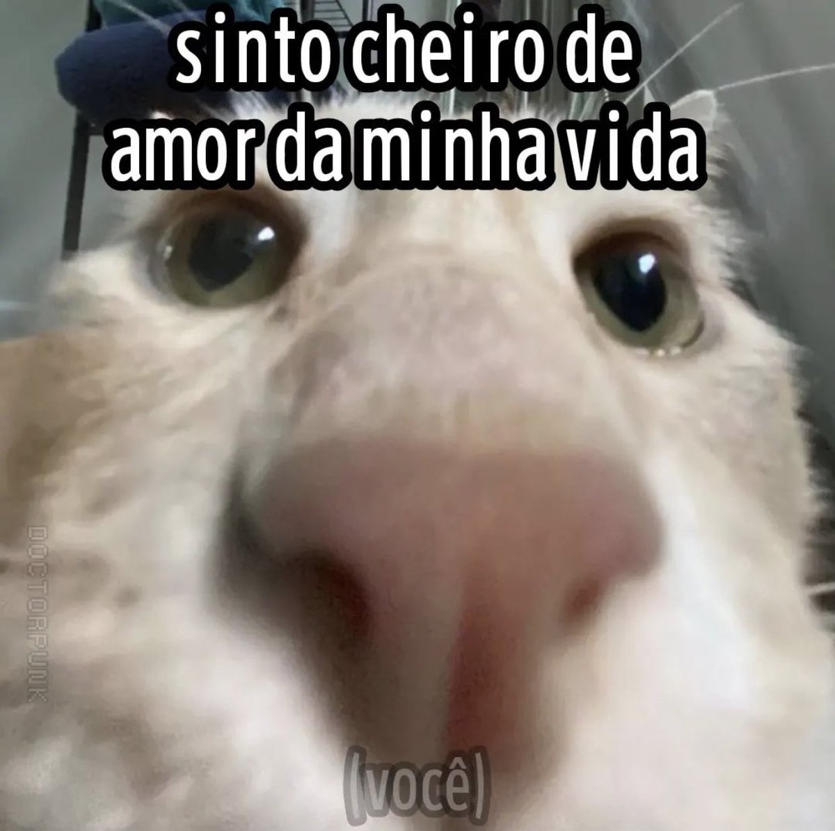 neca de pitibiribas (@angelazissima) on Twitter photo 