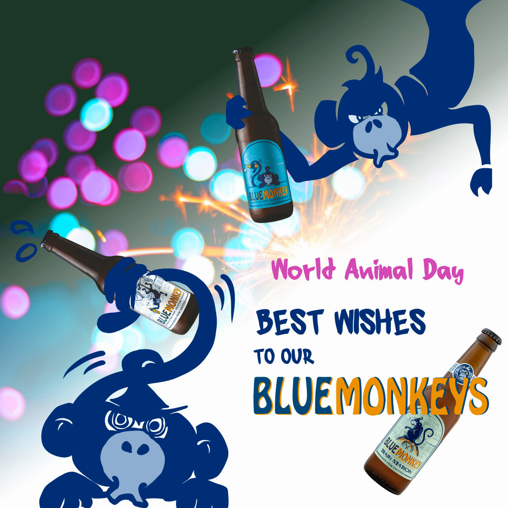 World animal day - Best wishes to our BLUE MONKEYS!