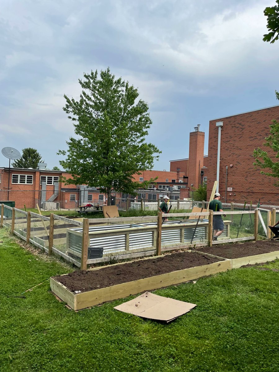 seed_stl's tweet photo. Brittany Woods Middle is looking for an Agricultural Resource Lead! 
🌱Support and mentor students &amp; teachers as they envision, plant, grow, &amp; harvest food &amp; ornamental crops
🌱 Tend to chickens &amp; possibly bees. 
🌱 &amp; More!

More Info ~> https://t.co/g7dTxOM24p
#edchat #StLouis https://t.co/NZhUjWCOtL