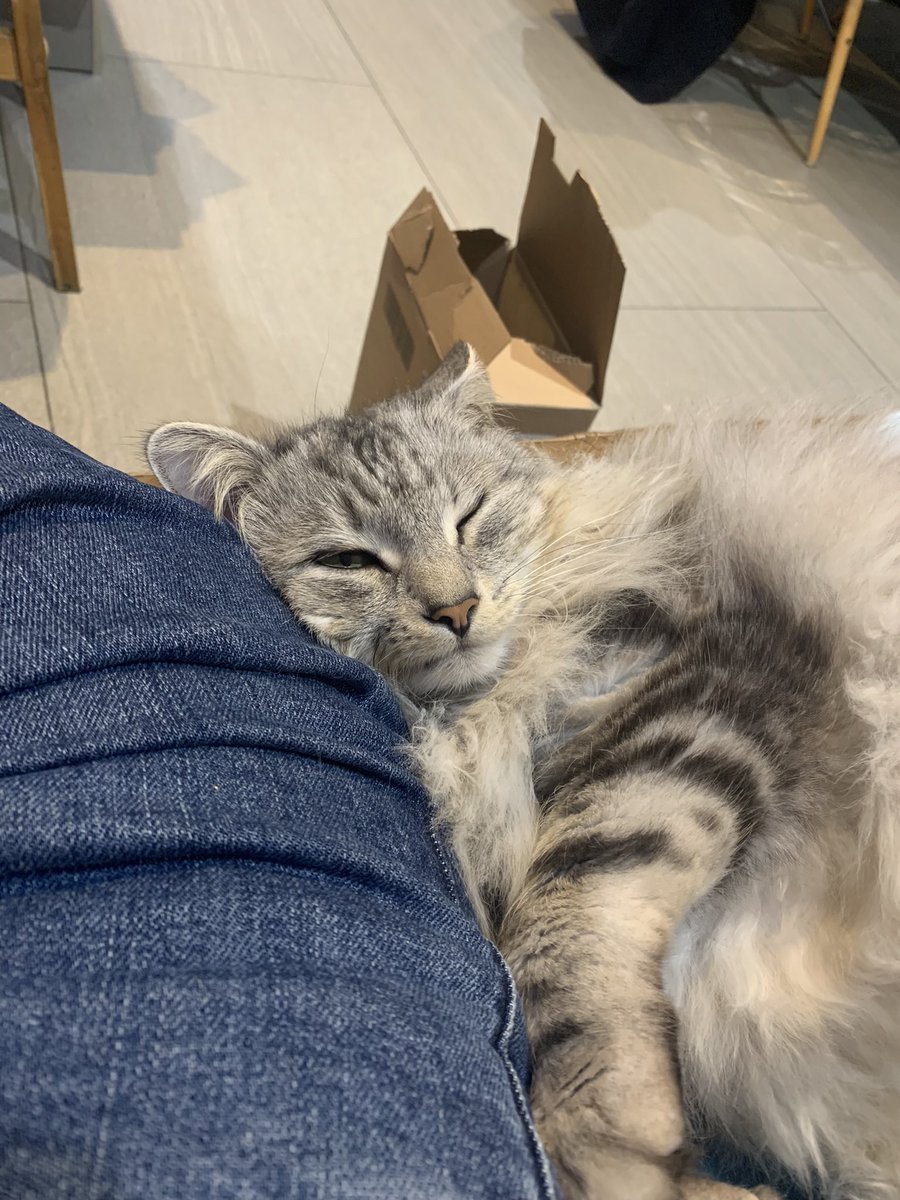 The Refill Larder tweet media