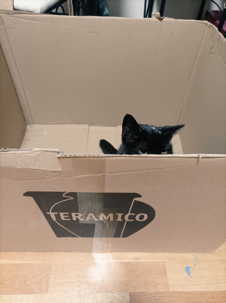 DareYa (@dareyaa_) on Twitter photo 