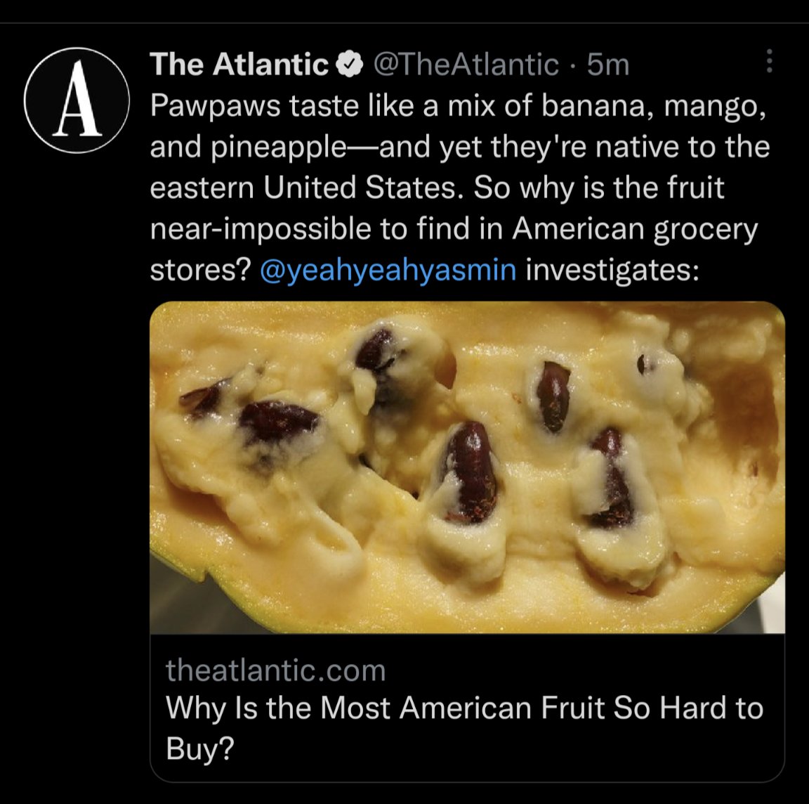 misteremerling's tweet image. iykyk

#pawpaw
#apsem