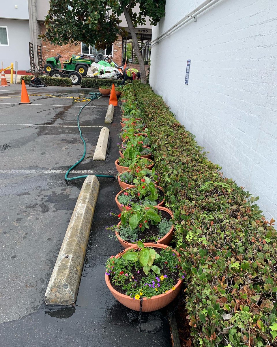 enhancelj's tweet photo. Hanging flower baskets on Girard Ave. are getting a refresh. Check out the new look when it’s all up by the end of this week! https://t.co/KUiSFAjQdg