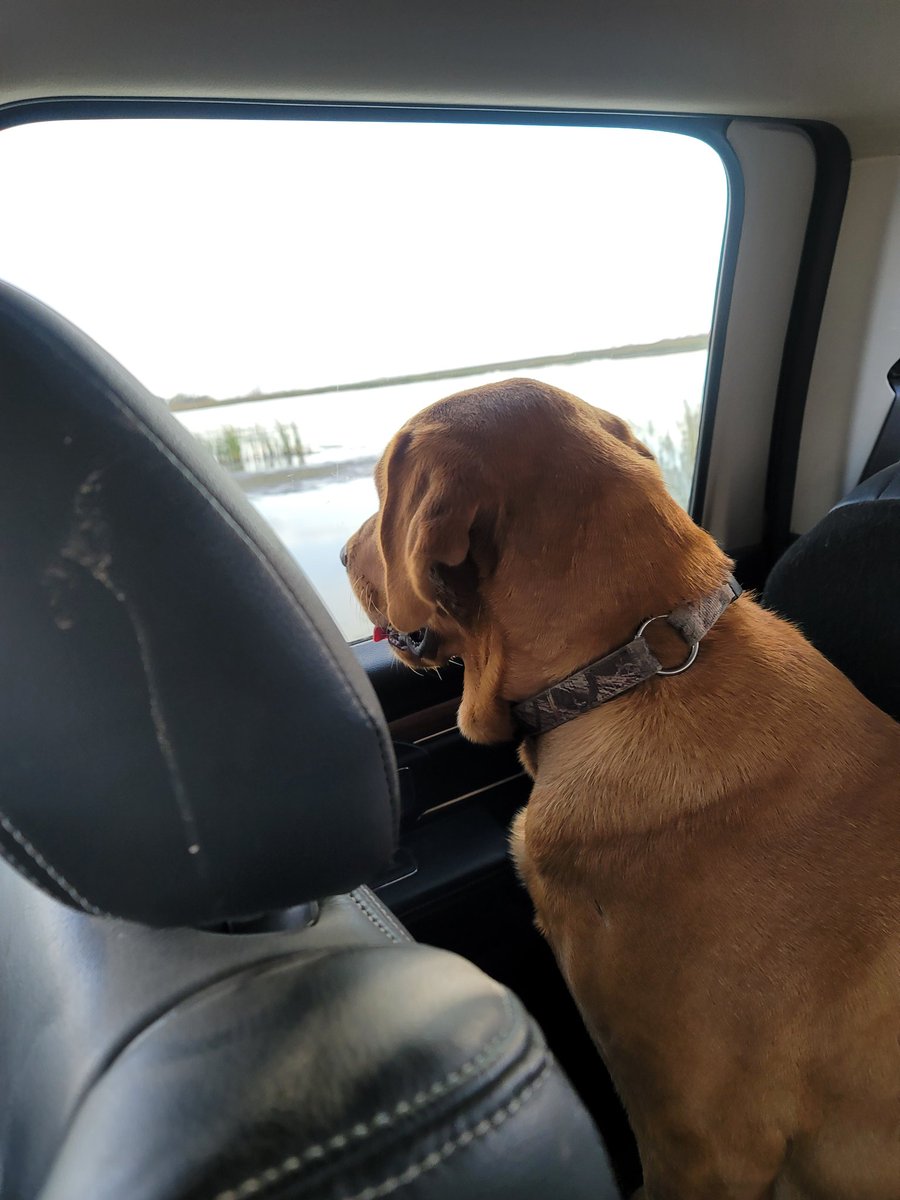 guide_lake's tweet photo. Just Scouting!! https://t.co/FsQjEVh0Ws