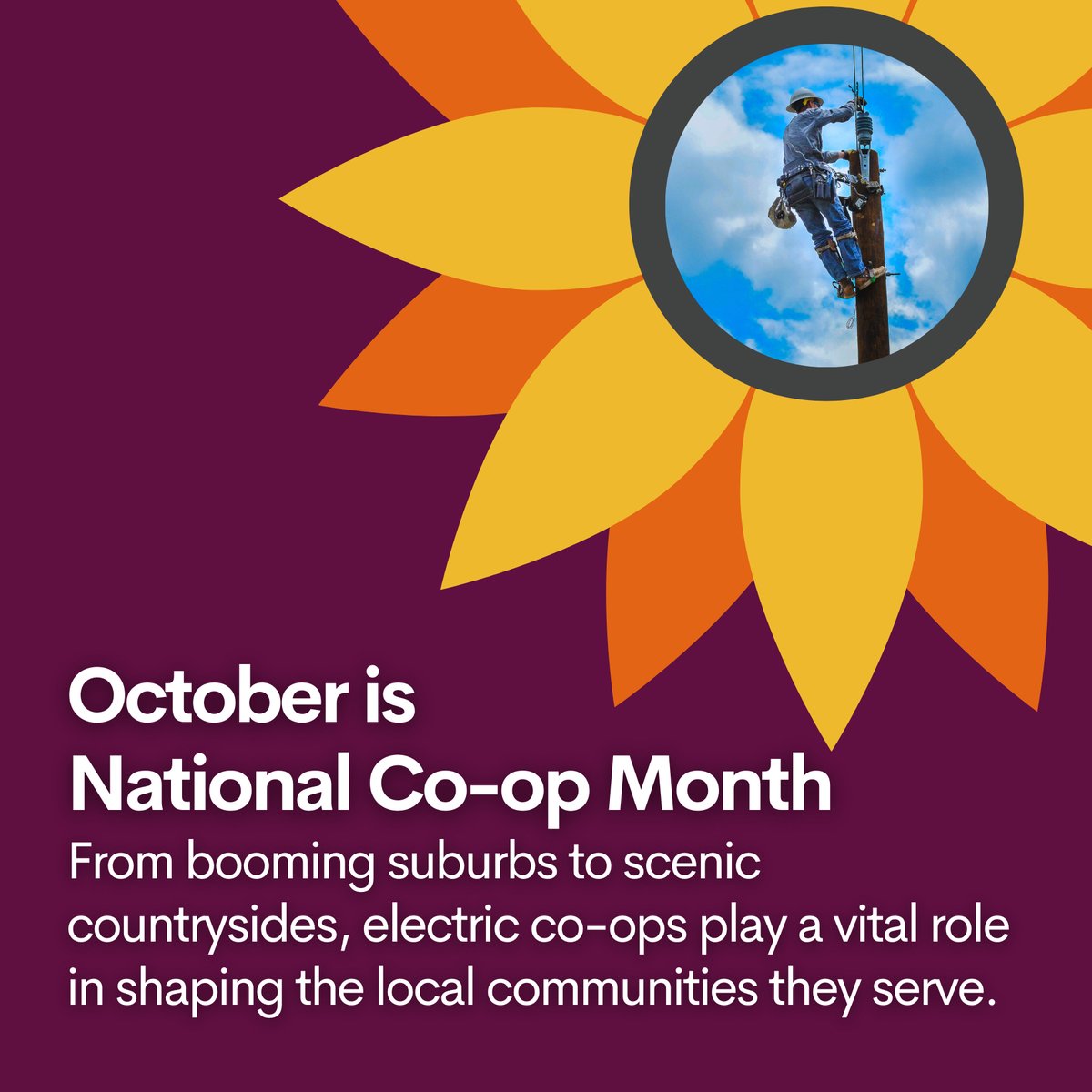We ❤️ October, and it’s not just because college football is in full swing and pumpkin spice lattes are back. It’s National Co-op Month!! This month and every month, we’re so happy to have you as a member of Baldwin EMC. #CoopMonth
