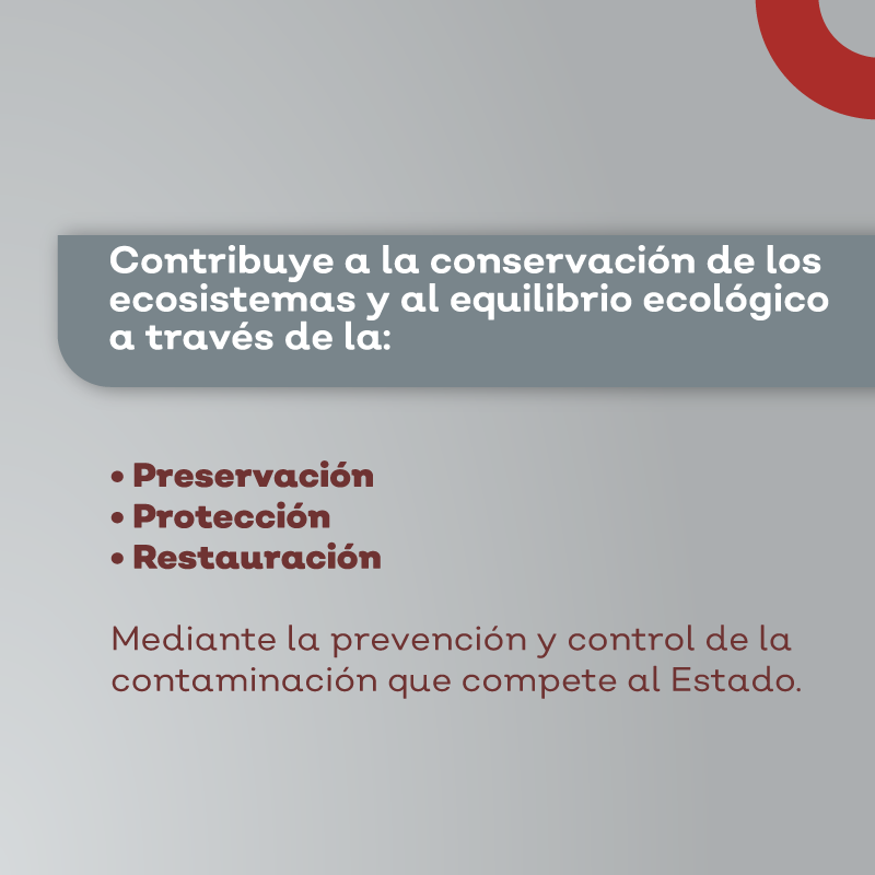 SemadetJal's tweet photo. La #Proepa establece medidas de seguridad para conservar el equilibrio ecológico de Jalisco además, en colaboración con los tres órdenes de gobierno, impulsa el cumplimiento de acciones legales en materia ambiental.
Conoce cómo: 👇 https://t.co/OcBCD9cJ7o