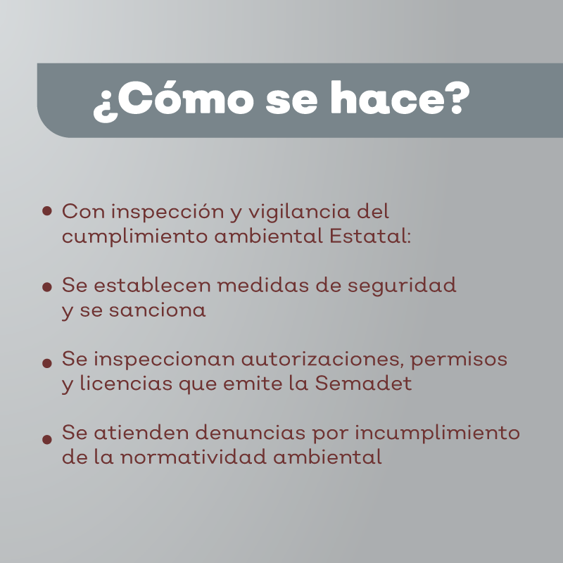 SemadetJal's tweet photo. La #Proepa establece medidas de seguridad para conservar el equilibrio ecológico de Jalisco además, en colaboración con los tres órdenes de gobierno, impulsa el cumplimiento de acciones legales en materia ambiental.
Conoce cómo: 👇 https://t.co/OcBCD9cJ7o