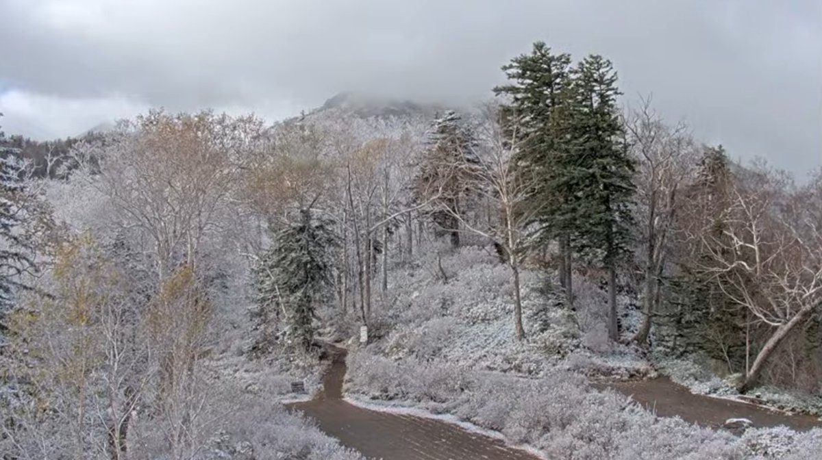 大雪山連峰 - Search / X