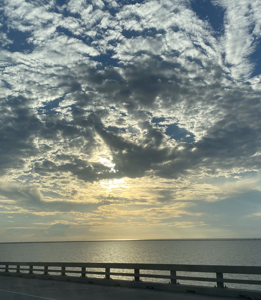 coffeegirl_77's tweet photo. Driving/riding over #Pontchartrain 😊 https://t.co/shdeCLkhm4