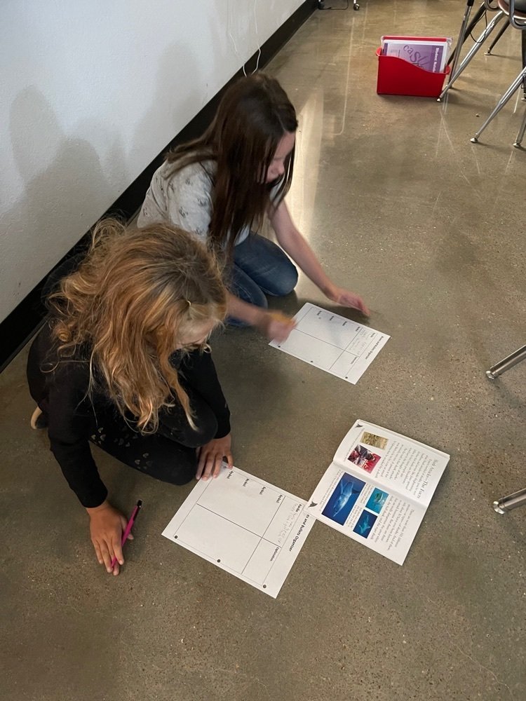 BeebeElementary's tweet photo. Today in Mrs. Tallie’s class, students worked hard to identify main ideas and give key details to their new book: Shark Attack!
Students are loving this module and understanding how scientists explore sea creatures!
#2Groovy #bbelem https://t.co/2yFutuQWDW