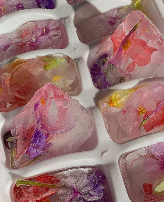 flowers in ice