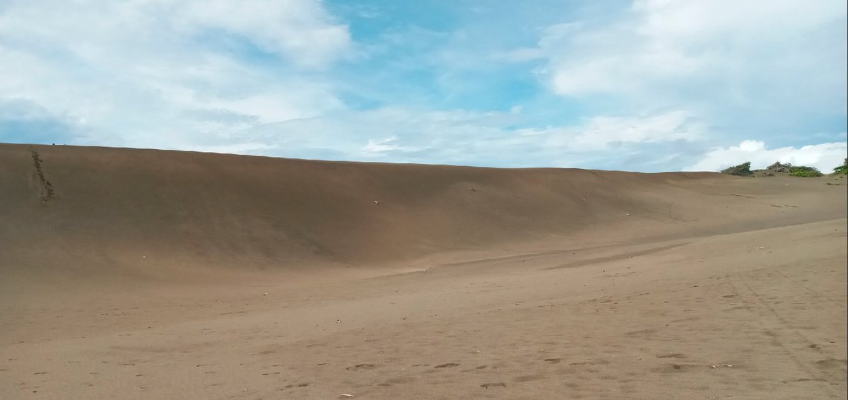 cameliazul's tweet photo. Dunas...
#Baní #LasCalderas #RDLoTieneTodo
@RDPorLoAlto https://t.co/Xm9IjKT2NW