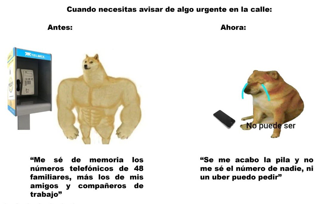 draisaram's tweet photo. Mi tarea en @infovestigacion https://t.co/fjkPI7za5Z