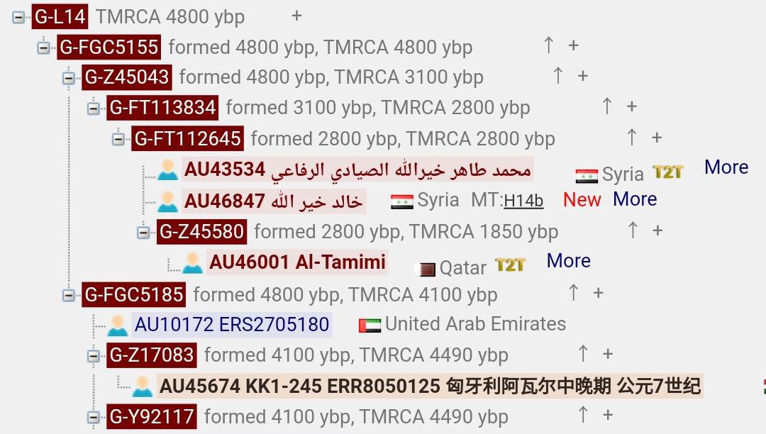 haplogroupG_L14's tweet photo. ظهرت نتيجة فحص WGS لعينة رقم 53682، السيد خالد خير الله من آل خير الله في حلب على الفرع Y128528 من السلالة G-L14 مُطابقة مع عينة ثانية من نفس العائلة (آل خير الله)، وكذلك أظهر فحص الصبغيات الجسمية للعينة أنها تلتقي مع العينة الأخرى ضمن (٢ - ٤) أجيال تماماً مثل الموروث

مُبارك لهم https://t.co/FQ6fGq3U73