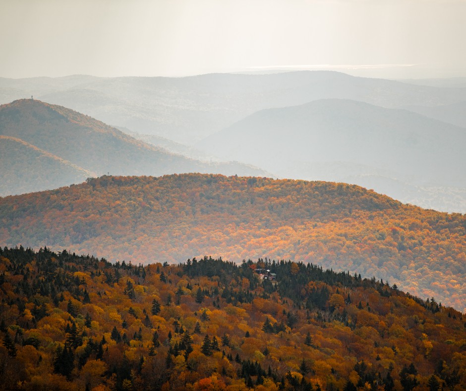 StioMountain's tweet photo. Taking in the unbe-leaf-able views 🍁
#lettheoutsidein

📷 @brookscurran https://t.co/RQytH1FEnN