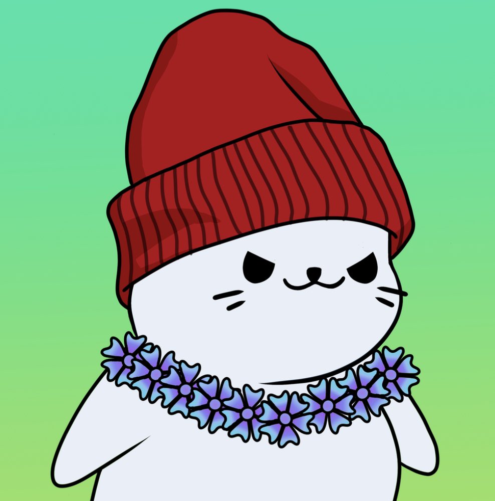 fomo fein tweet media