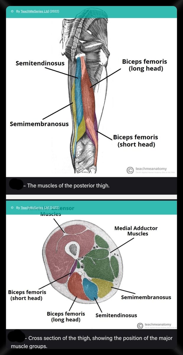 𝐃𝐫.𝐎𝐌𝐈𝐃 𝐁𝐀𝐍𝐃𝐀𝐑𝐂𝐇𝐈, 𝐌.𝐃. on Twitter: 
