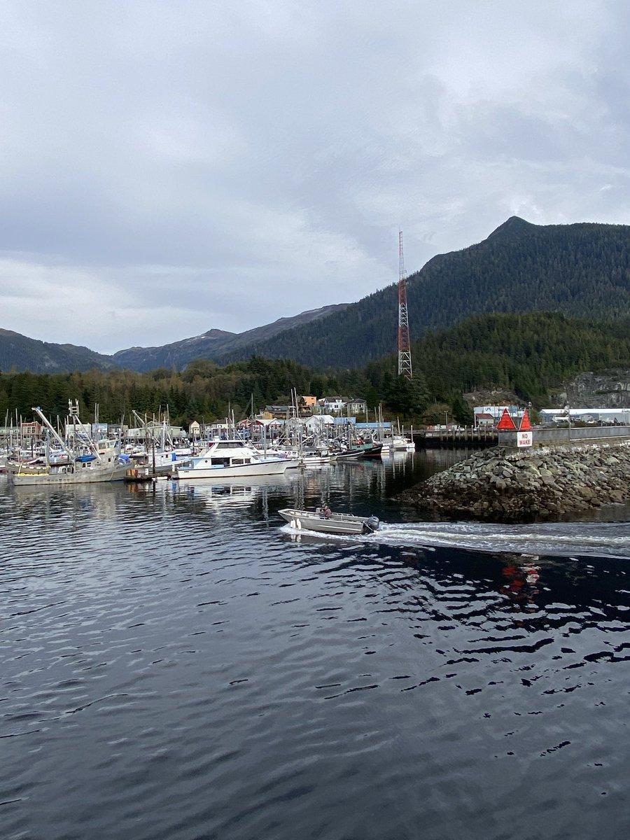 SharonBrooks13's tweet photo. #WalkWithaView pretty quiet on the docks. End of the season cleaning from elbow grease to pressure washing. 🐾 https://t.co/o7zJAcaRRM