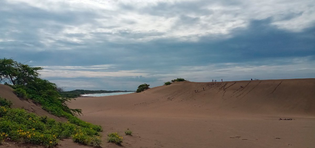 cameliazul's tweet photo. #Dunas #LasCalderas #Baní @RDPorLoAlto https://t.co/UkQMBF8xjn