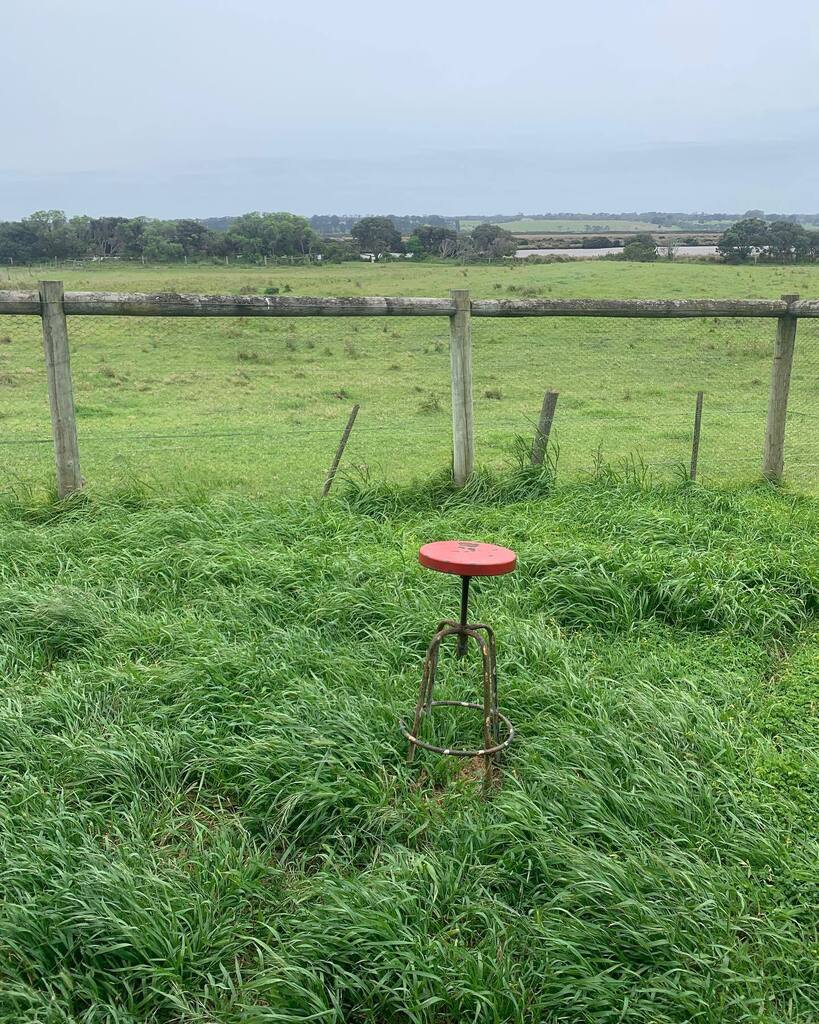 anaca_studio's tweet photo. :: COMPLEMENTARY :: Colour in nature… still out of office but unlikely to be out much today! That wind’s a bit blowy!! 😳
.
Pic @ac_petre (me!)
.
#holiday #farmstayaustralia #farmlife #anacaonabreak #outofoffice https://t.co/6tRwEbBOrd https://t.co/QhAlSd2kVj