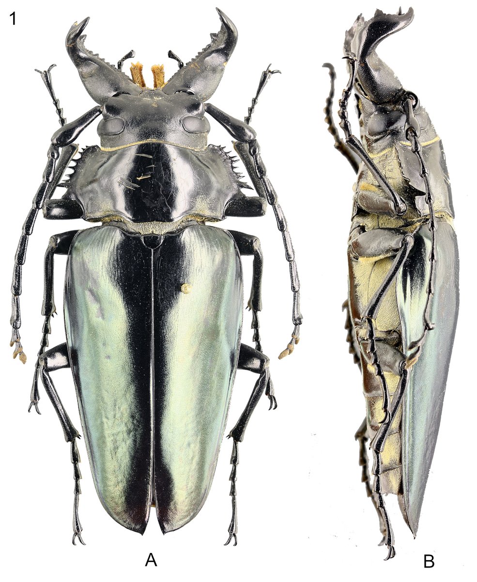 FangShuoHu tweet media