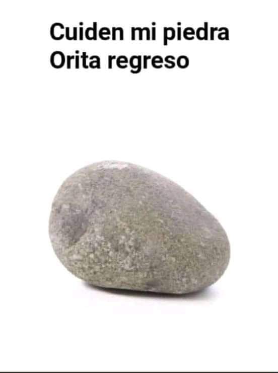 ircmediamxof's tweet photo. Se las encargo no muerde #memes #memesraros #memesprrones #memeschidos #memescrickosos #memesconsaboratamal #memesmexicanos #memesespañol #memes2022 https://t.co/xAsa6TpZ3X