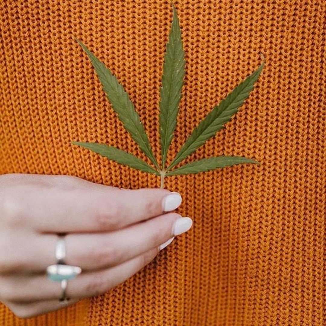 Media Source: instagram.com/p/BqYoTZtAcvI/

The power of the flower via fallforvee #kushqueen ( #📷 @kushqueenshop )