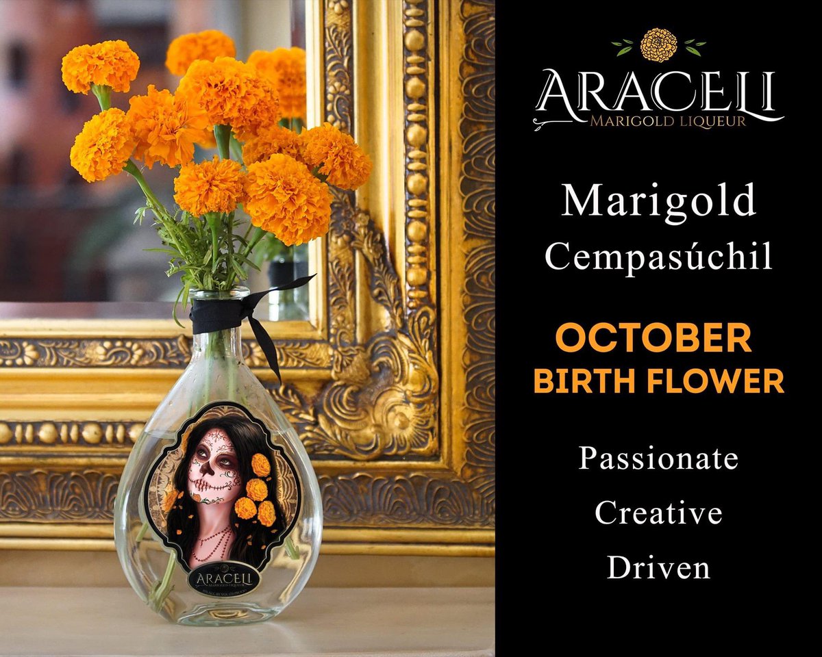 #October2022

#aracelimarigoldliqueur #araceli #marigold #liqueur #liqueurs #cocktail #cocktails #friends #family #familia #margarita #sugarskull #sugarskulltattoo #hechoenmexico #happyfall #fallismyfavorite #dayofthedead #diadelosmuertosmakeup