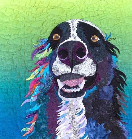 BBGrizzly's tweet photo. Quilts of many colors. https://t.co/5YObyLihp1 https://t.co/ieWBD80h8w
