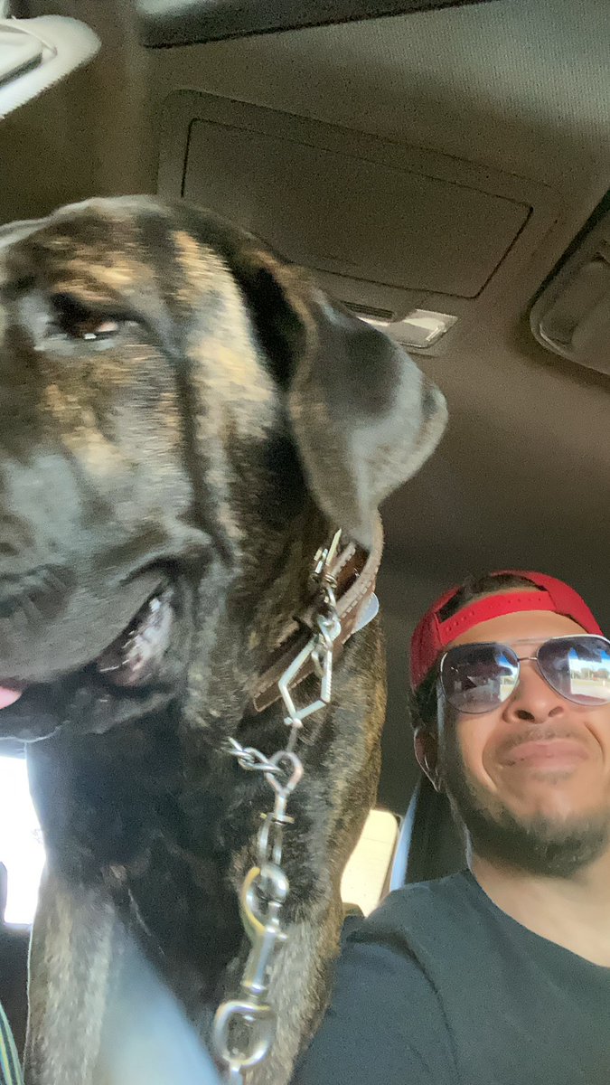 _kalikip's tweet photo. Riding in the car with my dog, Brit the Corso, is another one of my #passions.

How many of my @ToxicSkullsClub fam are #dog lovers? Let’s see those #Puppies 

#ToxicSkullsClub #TSC #TSCViking #TSCWizard #TSCRum #TSCBoneyard #TSCPassion #Passion #ETH #NFTs #NFTCommunity #NFTart https://t.co/dRM81Ue3ry