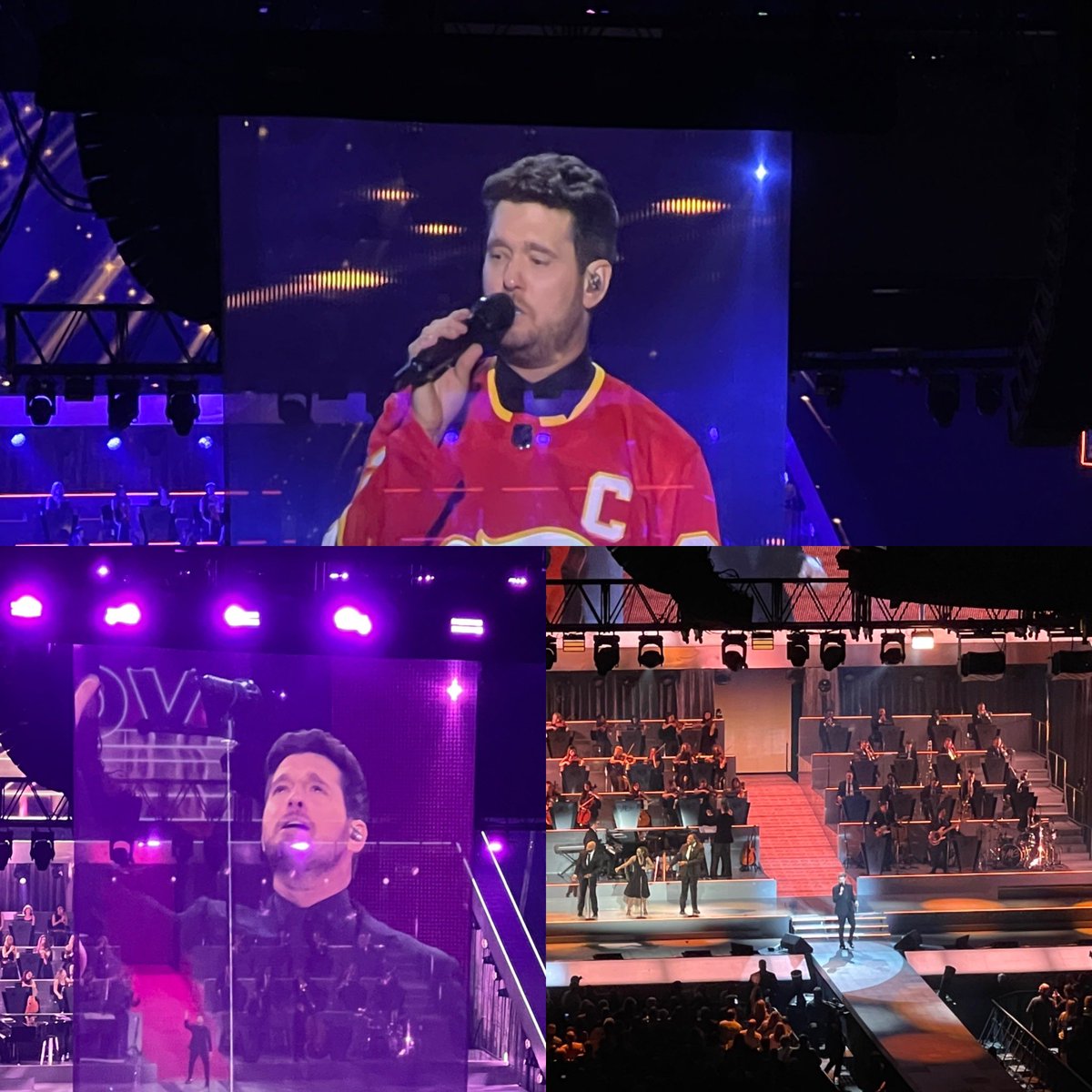 Nancy Toso tweet media