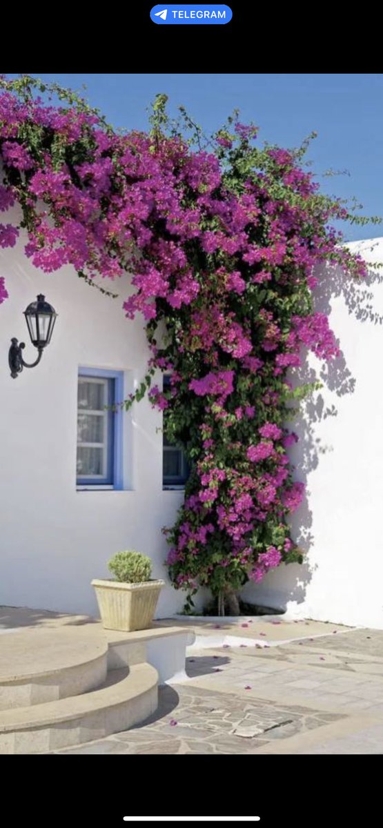 صباحكم راحة تعانق قلوبكم، وتشرح صدوركم .. صباحكم دعوات نبدأها بيا رب نحتاجك فكن لنا عوناً، وموفقاً في كل أمر.