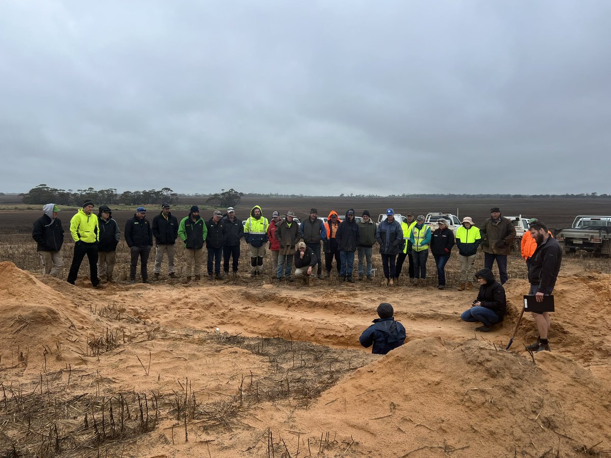 MsfMallee's tweet image. @theGRDC Optimising soil amelioration/machinery performance trial at Walpeup today. What is the best option for your soil. Looking at the soil pit vertically today due to 🌧. But we did get a quick 👀 @lowan139mick thanks for showing us your soil profile. #MsfProjects #sandysoils