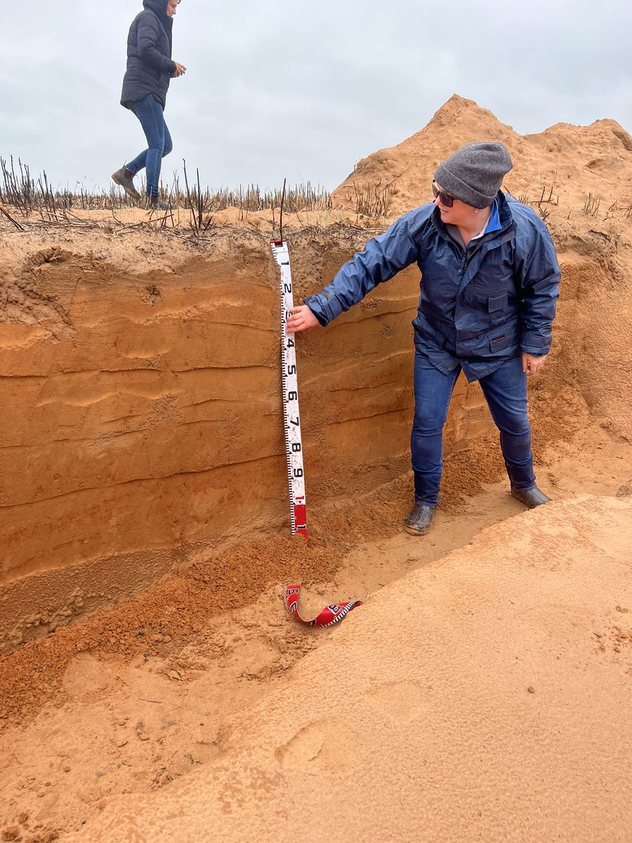 MsfMallee's tweet image. @theGRDC Optimising soil amelioration/machinery performance trial at Walpeup today. What is the best option for your soil. Looking at the soil pit vertically today due to 🌧. But we did get a quick 👀 @lowan139mick thanks for showing us your soil profile. #MsfProjects #sandysoils