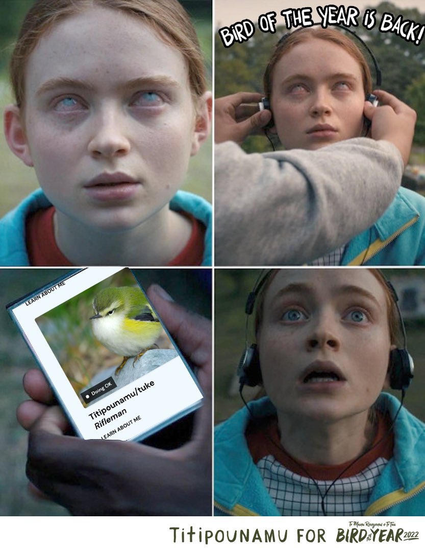 Wakey wakey!

#teamtitipounamu #birdoftheyear2022 #birdoftheyear <a href="/Forest_and_Bird/">Forest & Bird</a>