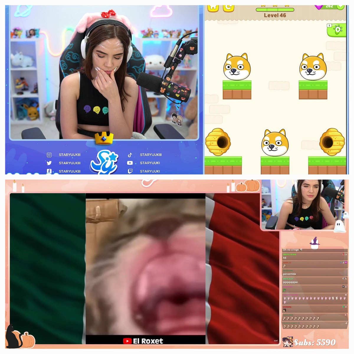 16Gamusa's tweet photo. Un gran stream bella un martes de mucha actividad y agradezco de corazón por el Zing en un día muy especial para mí, será hasta más tarde ten un buen descanso mi reina tkm. @staryuukiii https://t.co/6XwPNAUcqP