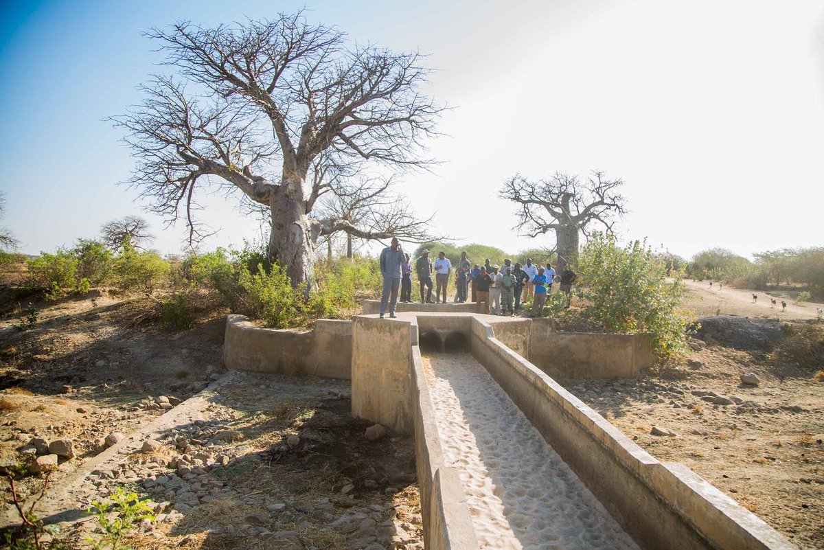 Nimefanya ziara ya kukagua skimu za umwagiliaji Wilaya ya Manyoni,Mkoani Singida.Serikali itajenga bwala kubwa la kuhifadhi Maji eneo la Mbwasa kwa gharama ya Tsh 20bn na hivyo kupelekea kuwa na chanzo cha uhakika cha maji#Ajenda10/30#