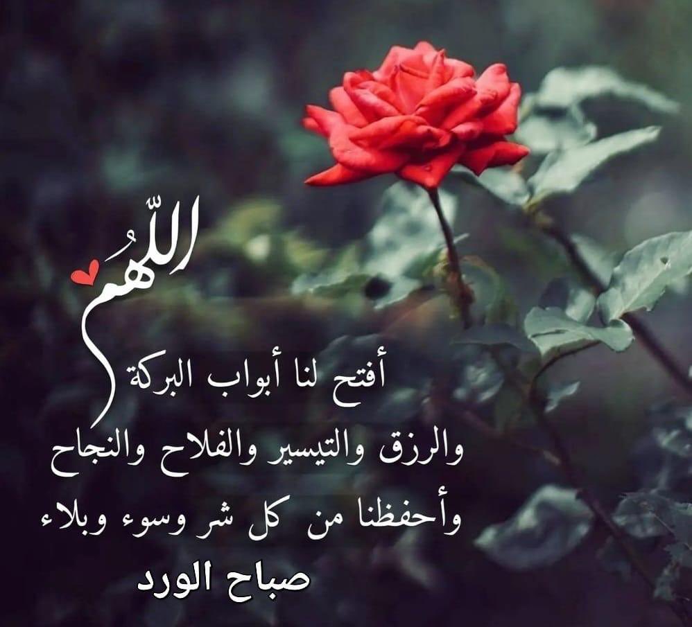 Hanan Alshehabi (@alshehabihanan) on Twitter photo 