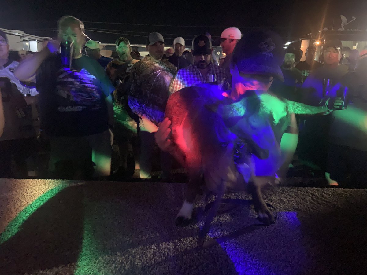 FrogParty tweet media