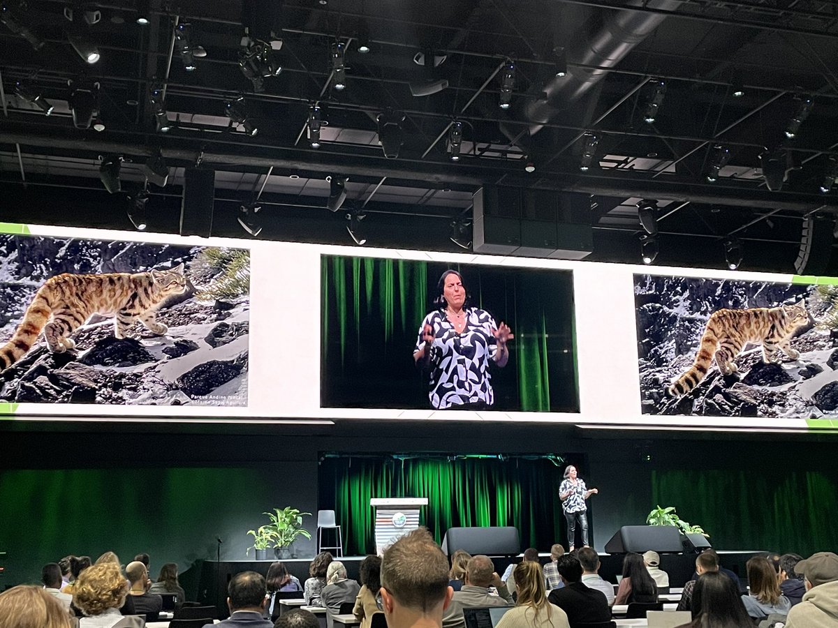 Kelsey Doerksen (@spacecadet_kels) on Twitter photo Combining two of my favourite things, cats and data science, the Andean Cat Alliance highlights how their using <a href="/googleearth/">Google Earth</a> to implement conservation actions to protect Andean cats! 🐱#GeoforGood22 Combining two of my favourite things, cats and data science, the Andean Cat Alliance highlights how their using <a href="/googleearth/">Google Earth</a> to implement conservation actions to protect Andean cats! 🐱#GeoforGood22