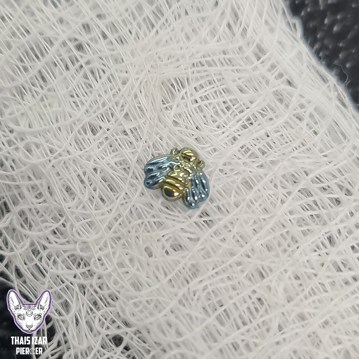 FadaDosInferno's tweet photo. Mais uma anodização customizada pra cliente. Se voce quiser uma anodização exclusiva é só chegar.
Abelhinha em titanio 🐝
#piercing #piercingorelha #piercinghelix #piercingconch #piercingtragus #titanio #safepiercing #girlpiercer #jewelrytitanium #anodizing #anodizer https://t.co/z0KBvR0hoY