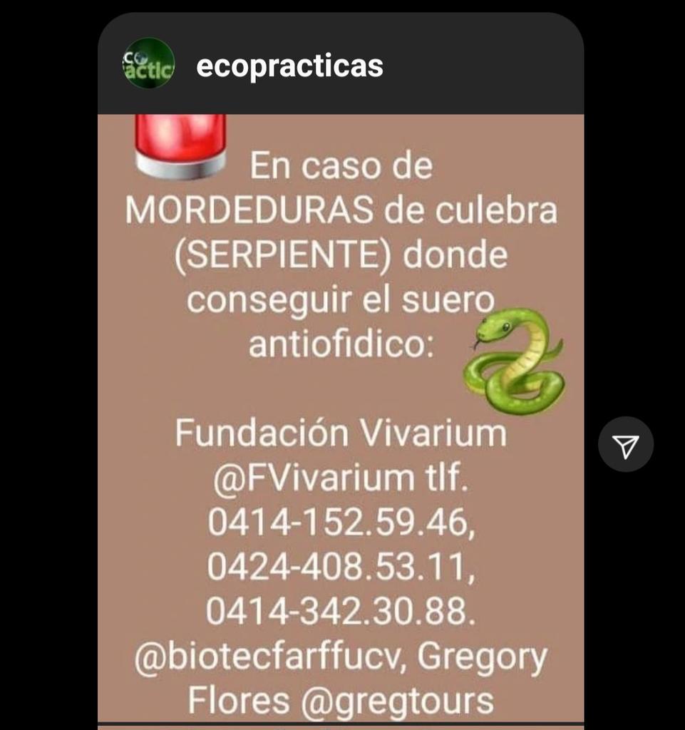 Jacke4532's tweet photo. Me pareció de sumo interés. https://t.co/D1UQsNeyoO