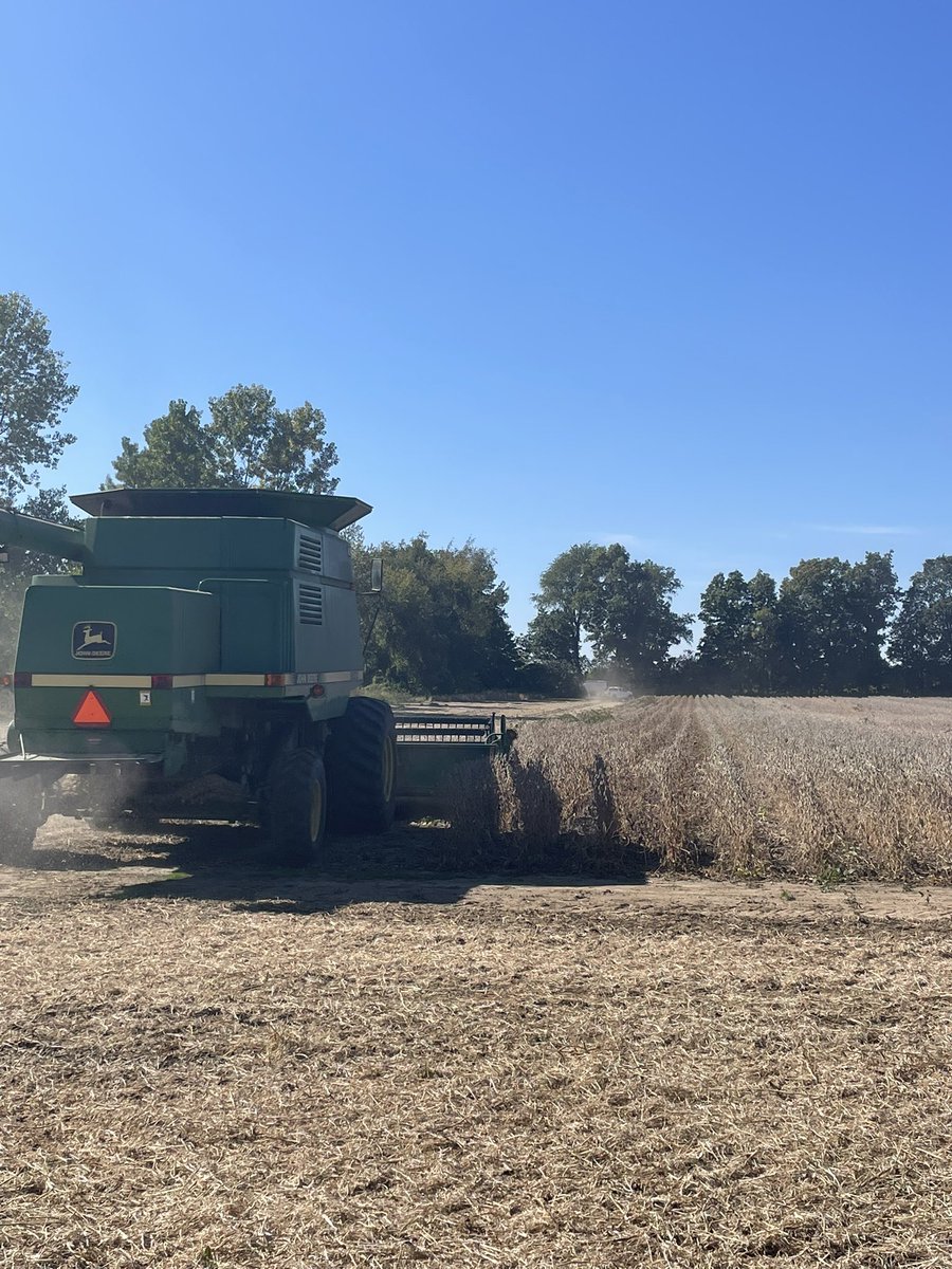 MSUMann's tweet image. First #Asgrow 🌱 dryland plot ran today in SW Michigan! 

AG24XF1’s led the way for Asgrow and took 🥇at 53bu/ac! 

A big thank you to retail partners @NutrienAgRetail for all of your help! #Bayer4MI #bayerup @DKCAS_MI @Asgrow_DEKALB