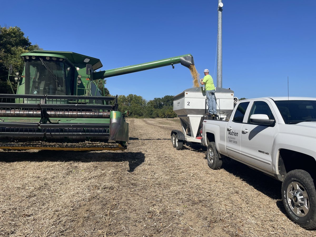 MSUMann's tweet image. First #Asgrow 🌱 dryland plot ran today in SW Michigan! 

AG24XF1’s led the way for Asgrow and took 🥇at 53bu/ac! 

A big thank you to retail partners @NutrienAgRetail for all of your help! #Bayer4MI #bayerup @DKCAS_MI @Asgrow_DEKALB