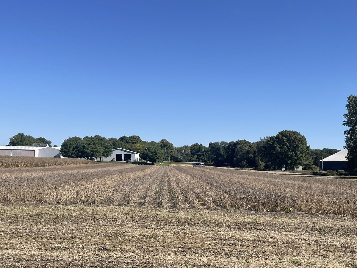MSUMann's tweet image. First #Asgrow 🌱 dryland plot ran today in SW Michigan! 

AG24XF1’s led the way for Asgrow and took 🥇at 53bu/ac! 

A big thank you to retail partners @NutrienAgRetail for all of your help! #Bayer4MI #bayerup @DKCAS_MI @Asgrow_DEKALB