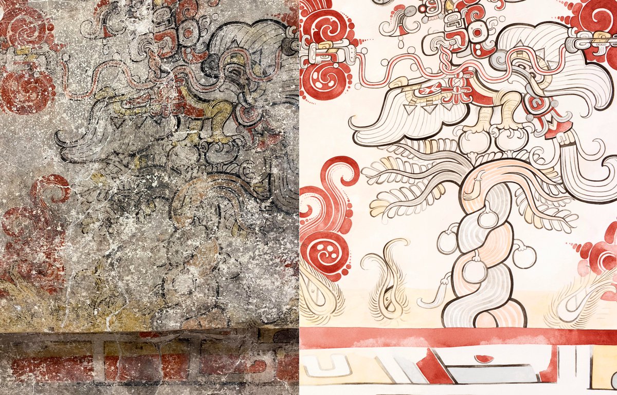 Proyecto Regional Arqueológico San Bartolo-Xultun tweet media