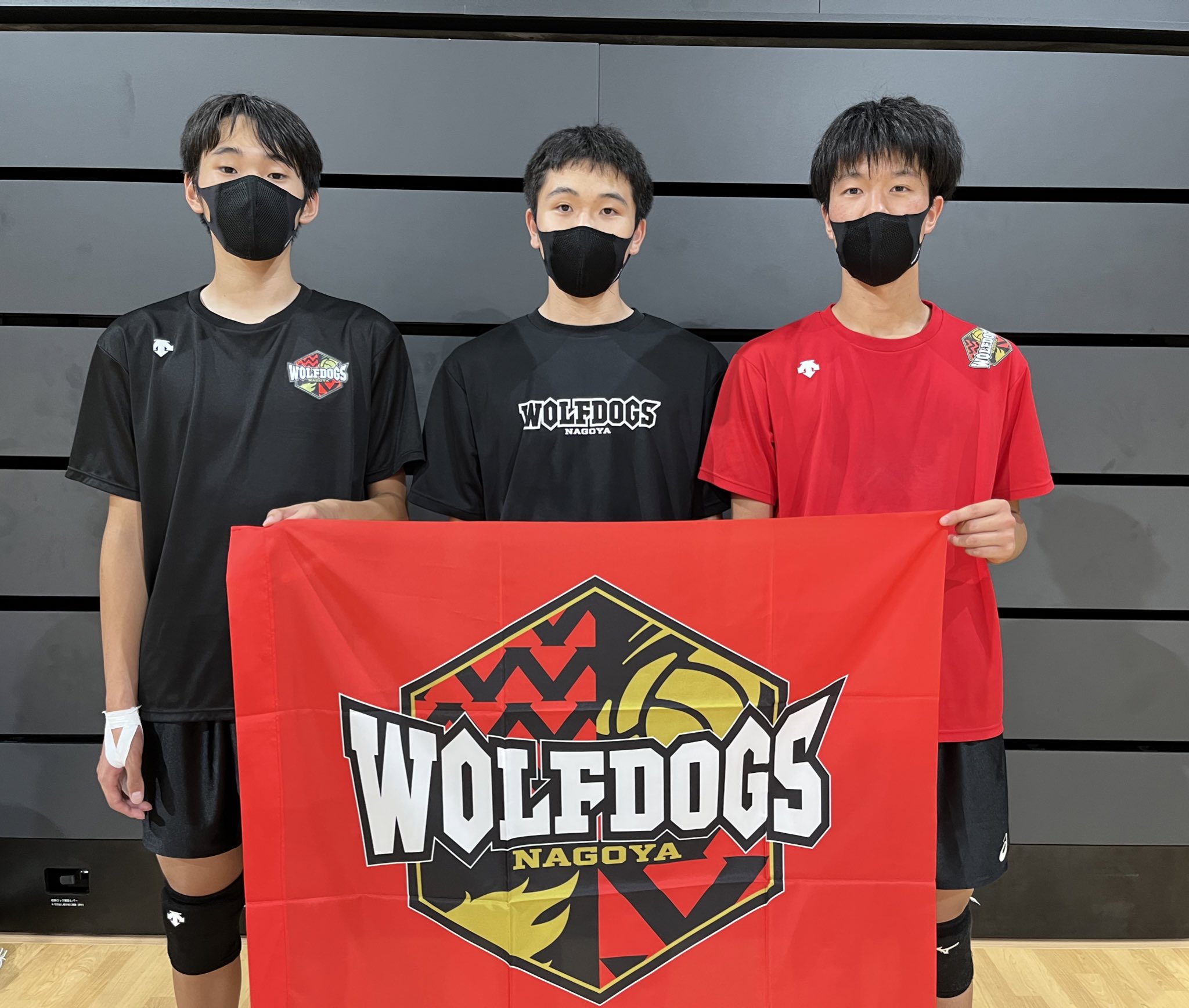 Tweets with replies by ウルフドッグス名古屋 (@Wolfdogs_NAGOYA 